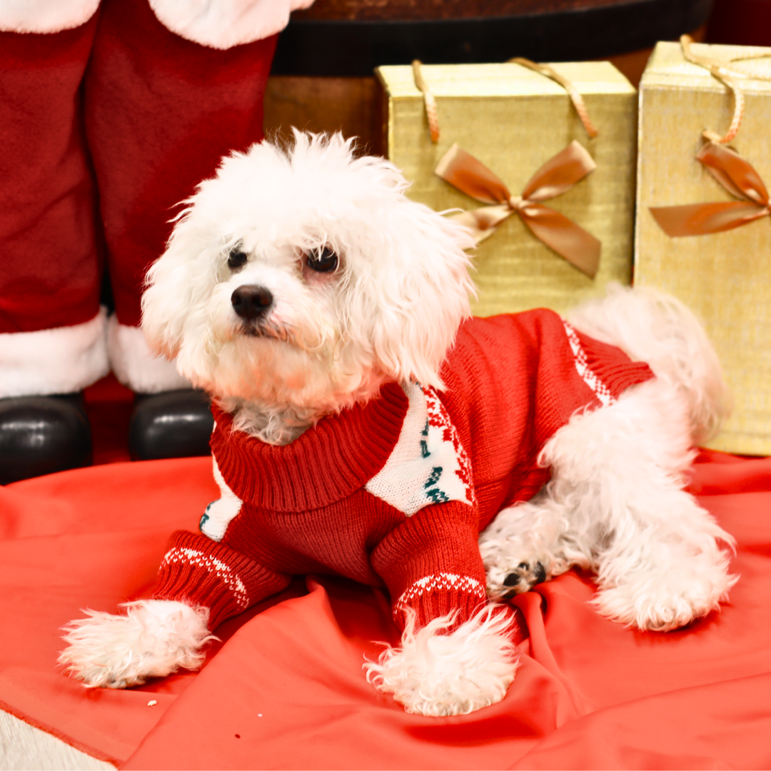 Vestiti per cani Natale